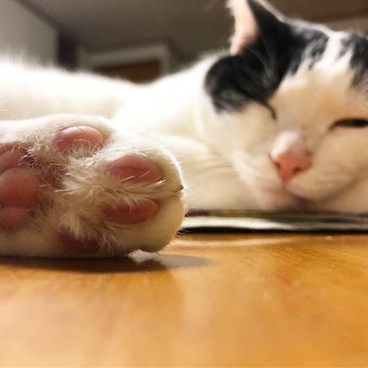 8b4464f1 9aa0 44b9 b723 1436d400182f 1565871829065