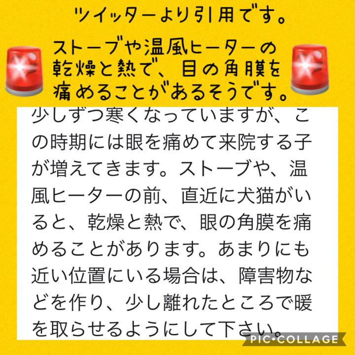 8b448152 29ab 4d9c 970d 353880440097 1571982987985