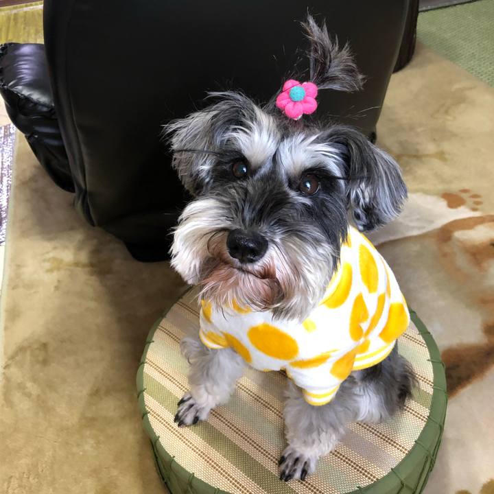 8b4486d5 0308 4059 9b67 8dff527a2e6e 1546783112319