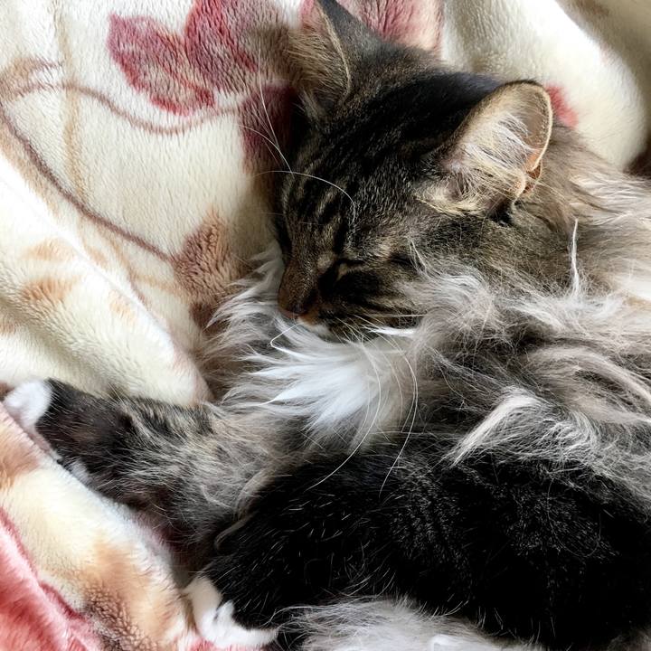 8b449285 789e 4233 8e2f 776838d62240 1511007644436