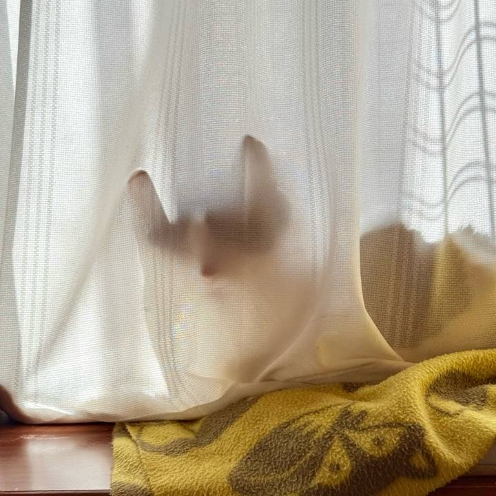 8b44c89b 4822 4e12 81f3 0c672179a7f3 1742439681090