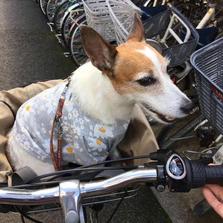 8b44d204 7d72 42b5 ba64 e22641708bd9 1619918091250