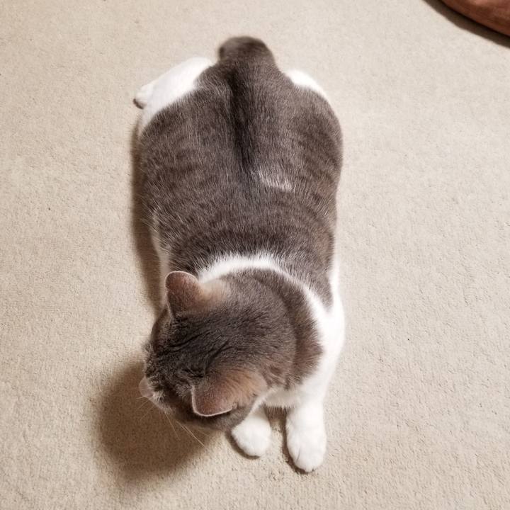 8b44dddc 0cbf 4fa0 8667 b173fb38b3bc 1633795197736