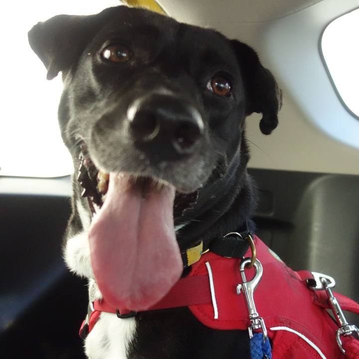 8b45091f f85c 447f b34e 1c6e72f45509 1596616922737