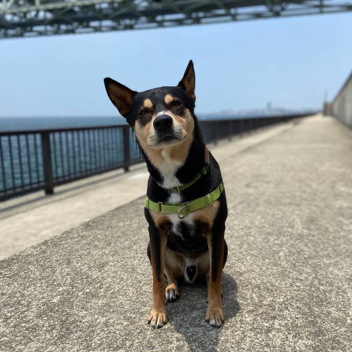 8b4518f2 8683 4c79 b591 51f70d326e76 1624578430662