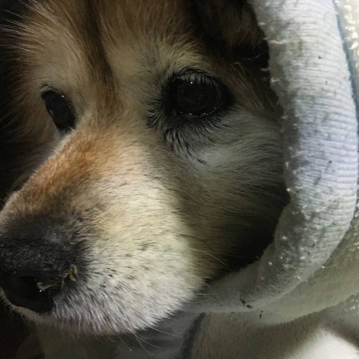 8b452291 3a3c 48ca a51a 4da5c8c68a01 1567734992527