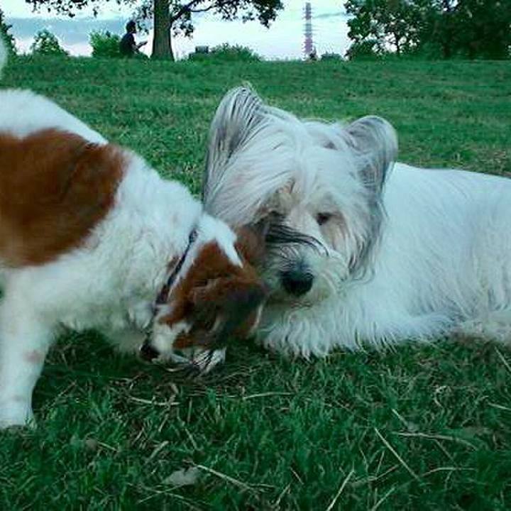 8b45298c c16a 4878 af6f 361d27d65bfd 1568469606099