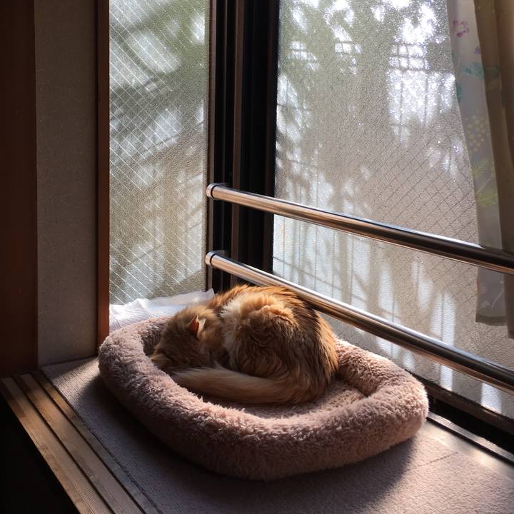 8b455c73 0169 4d68 b1e0 fa09827d0d20 1520423284410