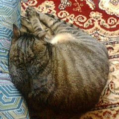 8b4564f9 a79c 4e55 88db d10c43abd0c0 1581332115269