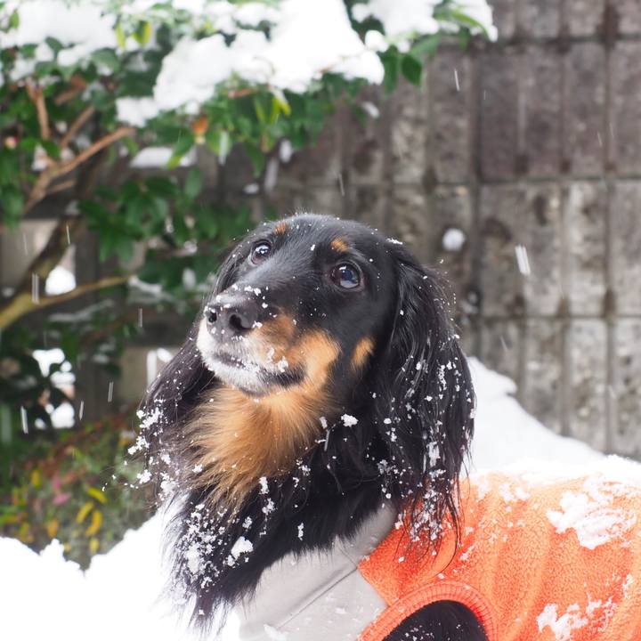 8b456c82 5d1e 458e b22d b6930d8f09c7 1671850022237