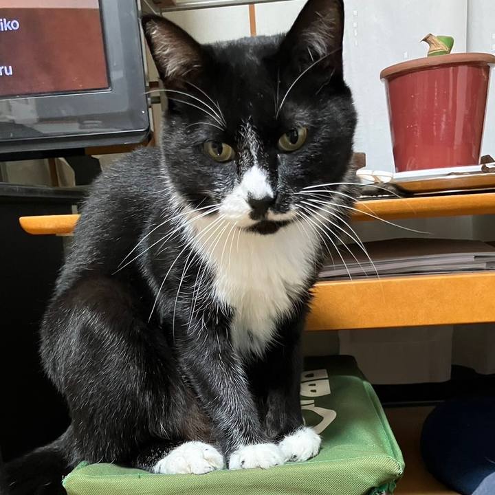 8b4575f6 cd0a 4918 a36c e9037fa4e8da 1698205395044