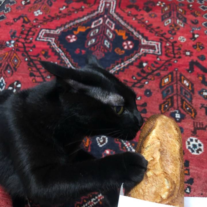 8b458d87 7361 4bba b0f5 f244791654bb 1600943642479