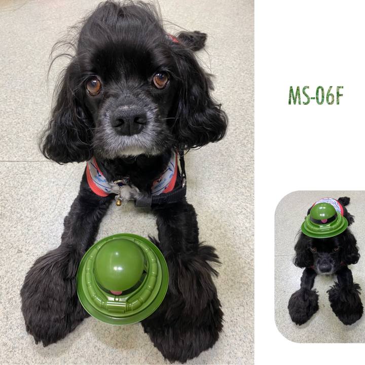 8b459d03 20bd 47fb bc4e 2c2e17d09e3e 1591446245346