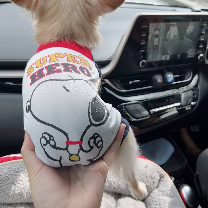 8b45b080 96c9 40e3 a385 83c851f40c6a 1729343020811