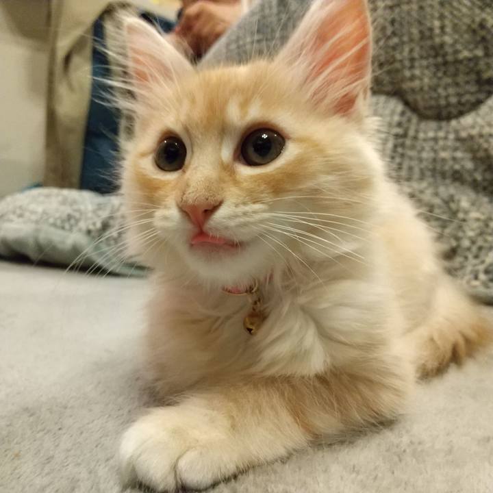 8b45d953 6739 44f1 9b5f e8440eebde3e 1604750388850