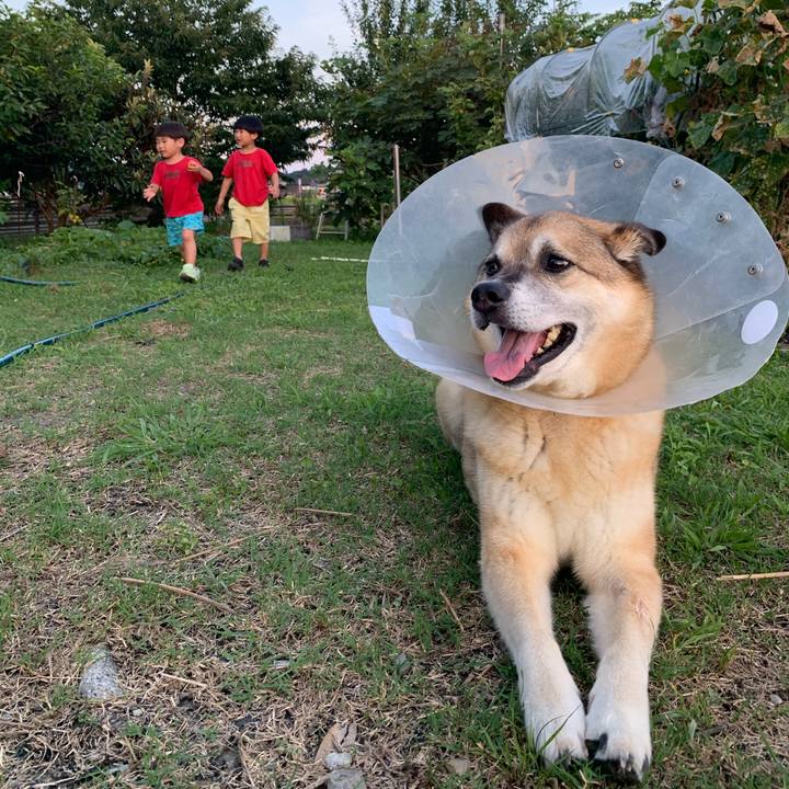 8b45fe04 2804 4d26 9ea8 fa62b6311b2b 1626958654795