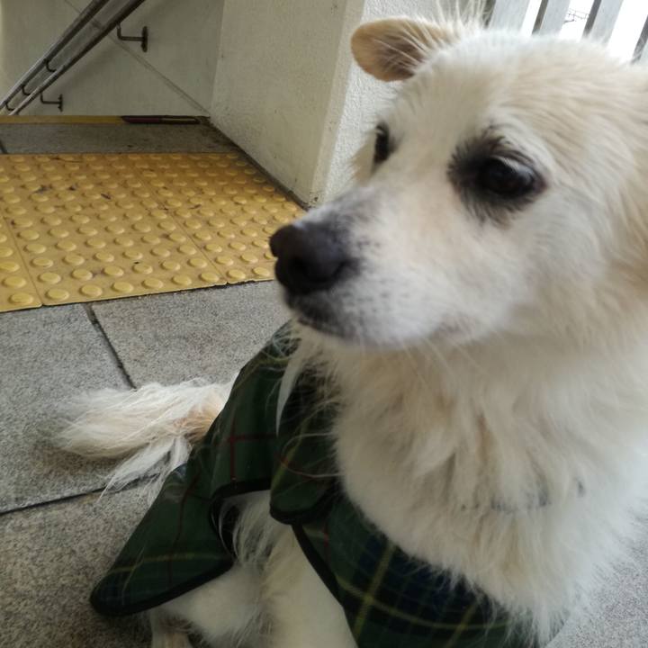 8b462f9e 0303 4338 9acf 1b1169fe8f3e 1536493689685