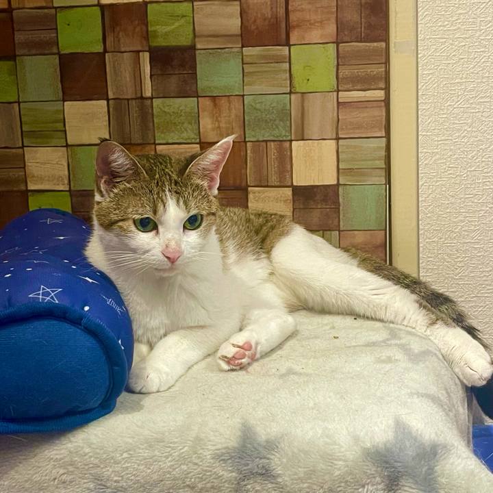 8b463bf5 5cf7 4a19 893d 74fc5db98d16 1629543679002