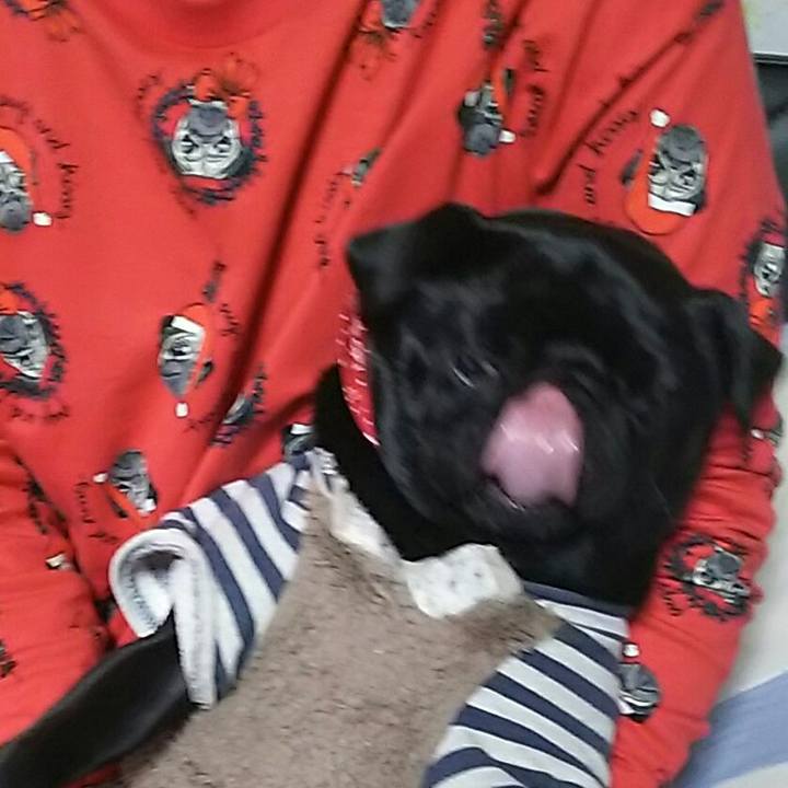 8b4644f6 bef1 4495 9933 f6b515d2bbec 1545574346122