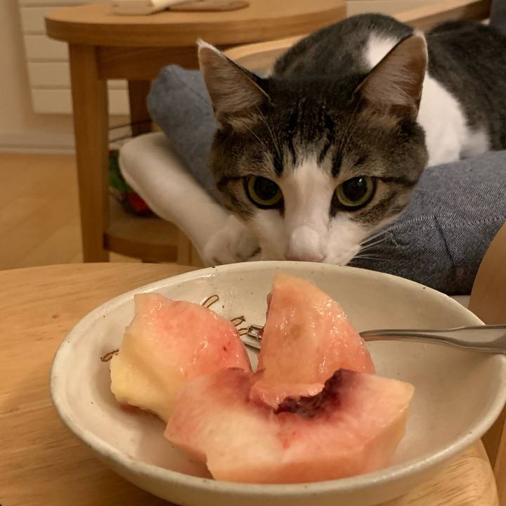 8b464b25 bd1f 4b4a 96e0 3ee5fd28f320 1757599290599