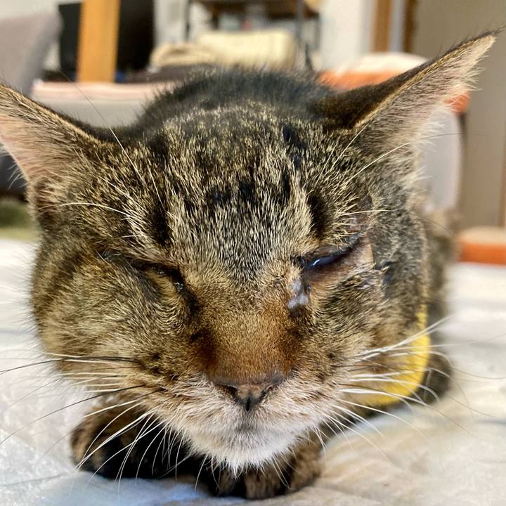 8b465324 2cf4 4725 bea9 73cbe75a53b9 1689488985850