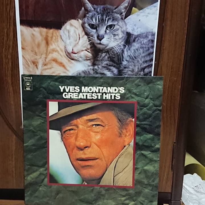 8b466013 2696 4369 872f 271795a1db19 1602583955667