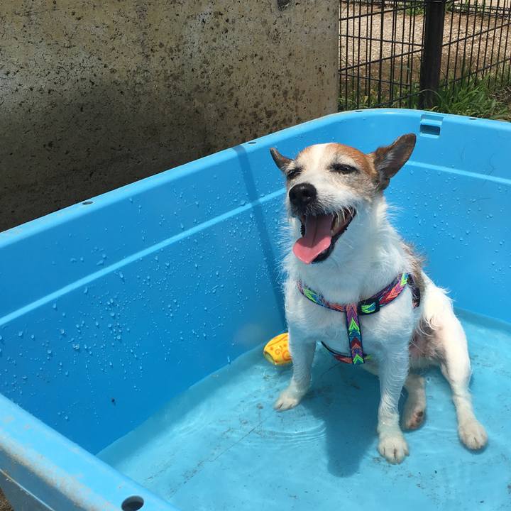 8b46965d ffee 47d4 9db4 cfc154440495 1655766970916