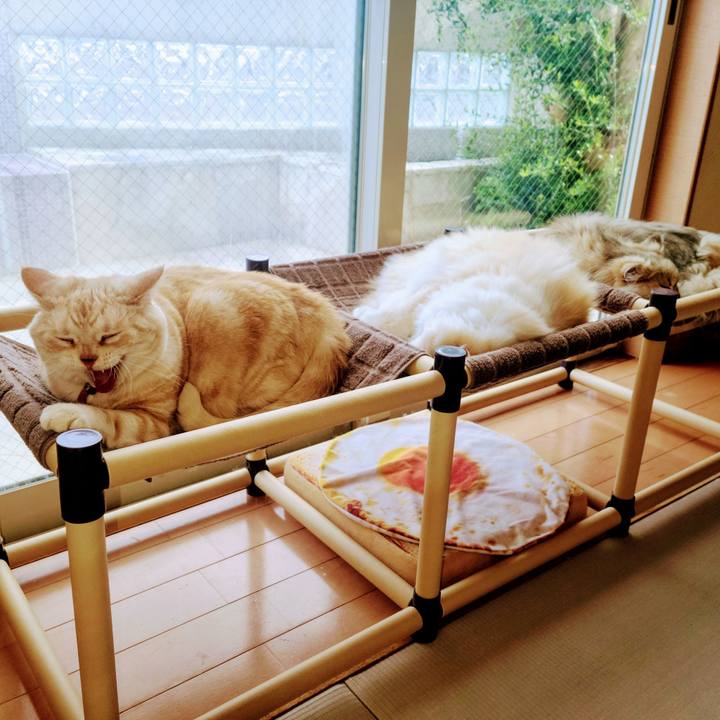 8b46a722 1d2b 4828 bfb9 ec65dd231c08 1717485212068