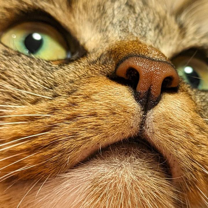 8b46ae61 90d1 4519 ab75 cbece9081dc6 1693896500410