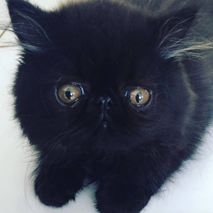 8b46d293 21e5 4bb2 ac2a 0f7af91bfa36 1537284309055