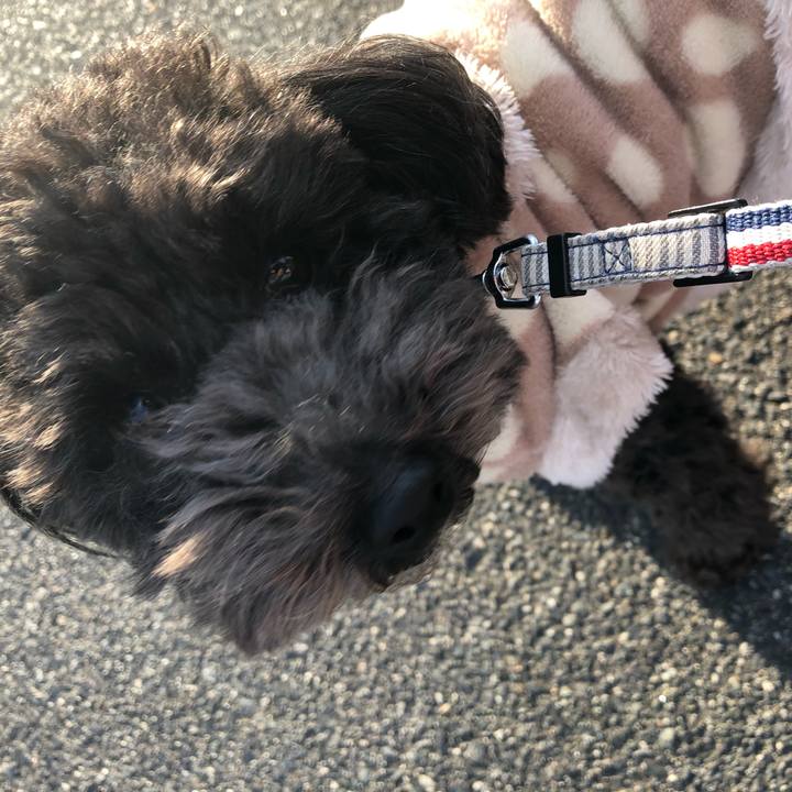 8b4713af 0525 409d b336 c0c8494b6ee5 1608463737354