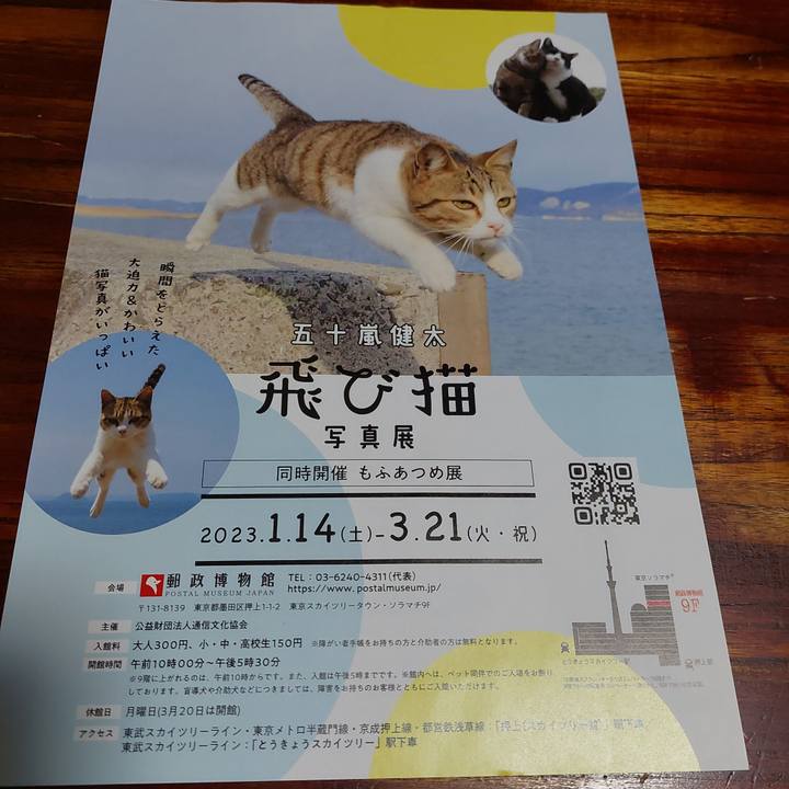 8b4717d1 2a94 44aa 9941 d6692e989ea3 1667818706748