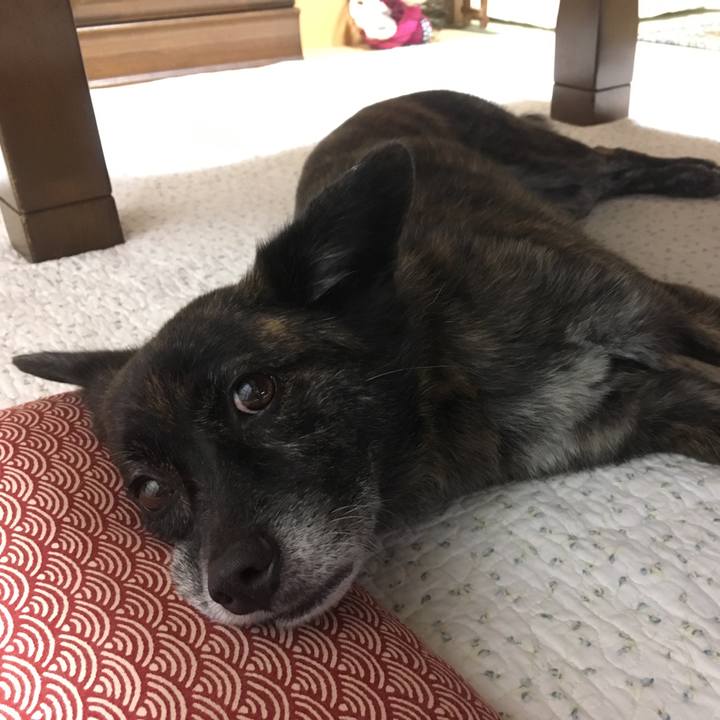 8b471dd2 bb76 4a6a b537 9697676a84aa 1537146929227