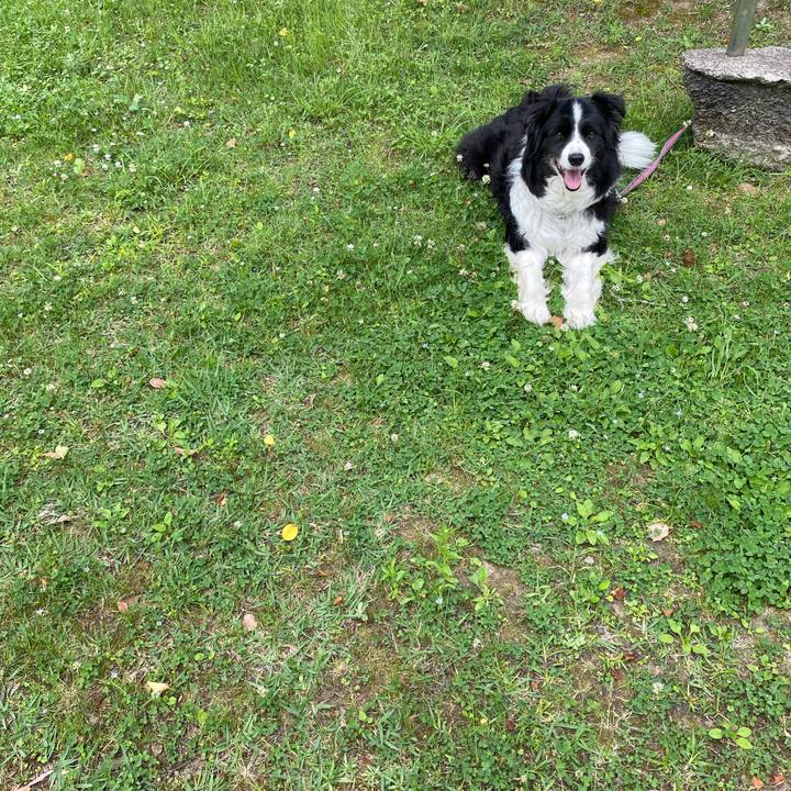 8b4741e0 5e09 4799 a16e 2f51a1edf16b 1684731930379