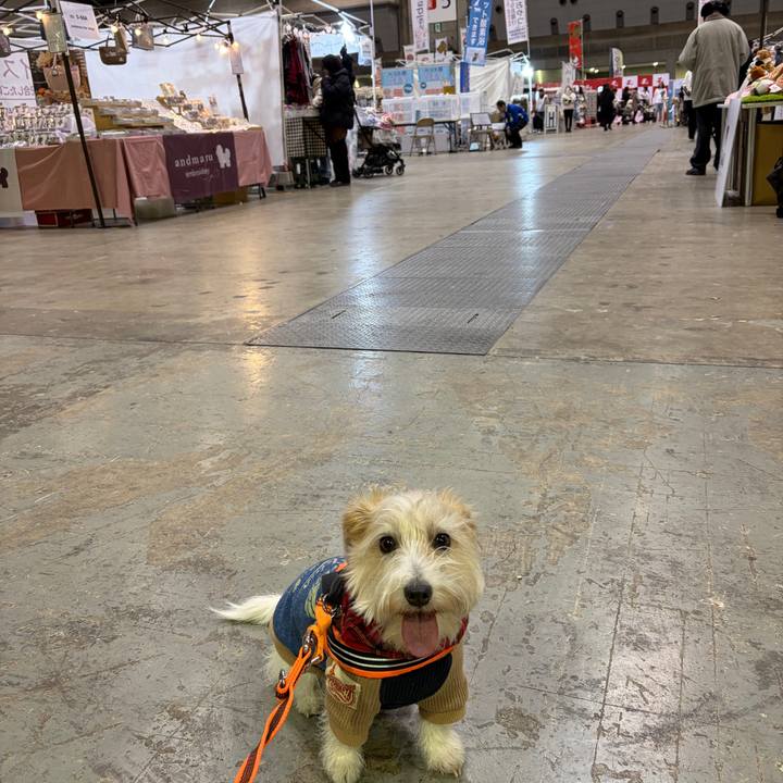 8b478917 6030 43d4 9d5b 2804f97b9df8 1769845768975