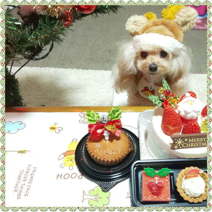 8b47d113 c13e 4bb8 a41f 1852fc2f603b 1735367534956