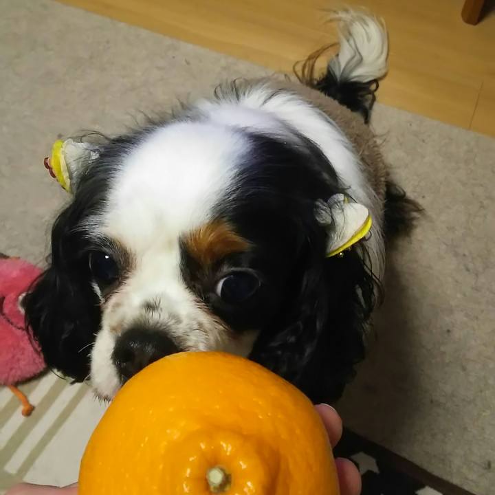 8b48073b 8636 4660 a978 828804a588b9 1519185624900