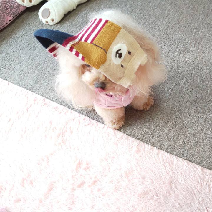 8b484d37 eaa6 43bf a116 a4b6c4e9b05c 1572959128296