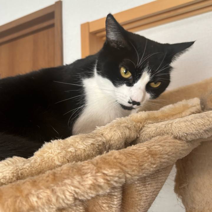 8b4859fb b1de 4615 b87e 861f2a29cba0 1766109806871