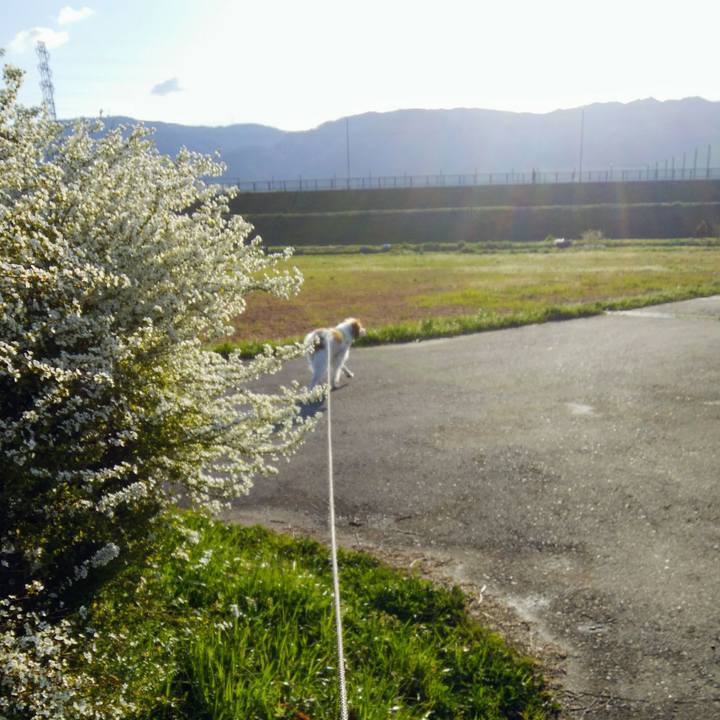 8b485f3d 75cd 4bb8 8137 5c1bdcaaea4e 1553992107720