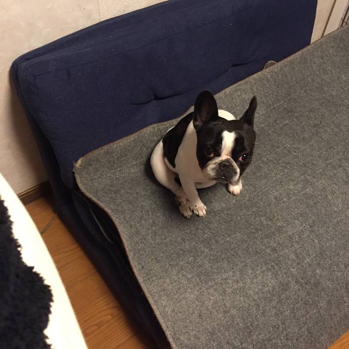 8b48630e 753b 486e a64f 96d3f6fa5f5c 1545136091635