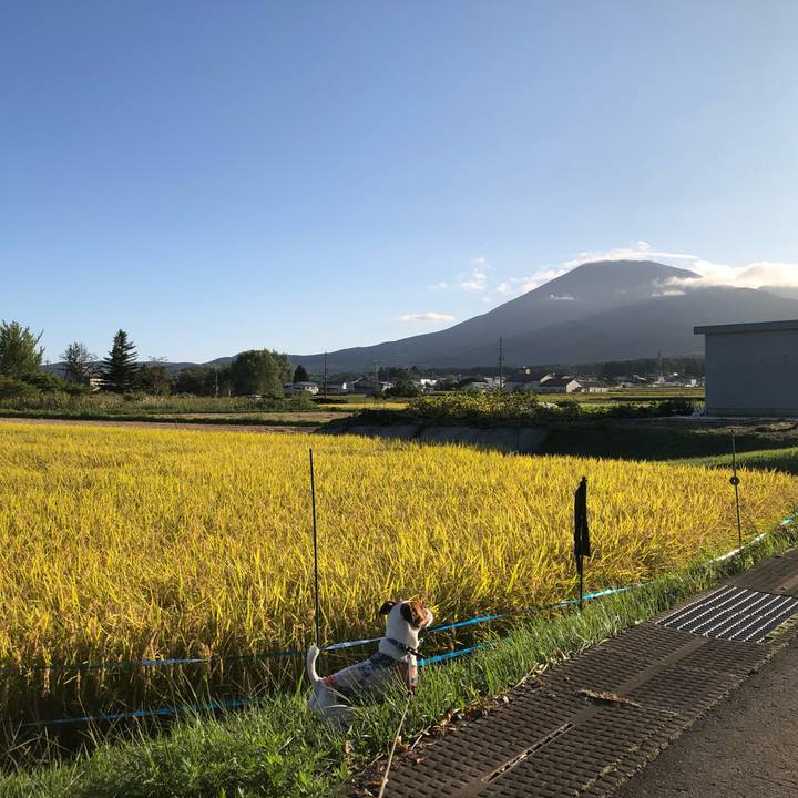 8b4878c1 126f 40c8 8bf2 ab0a632ca41a 1601290490499