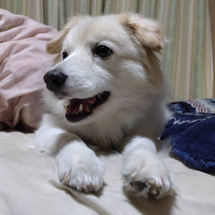 8b488d5d 0454 4790 aa41 4cca763eacab 1644935618734