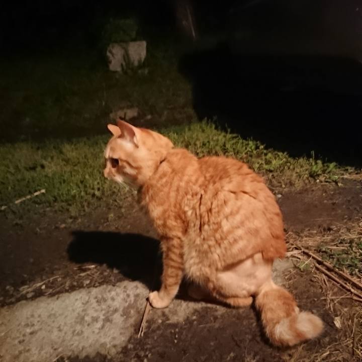 8b48bfb8 3e29 463b 9fa6 23c4ec9308b2 1654688355149