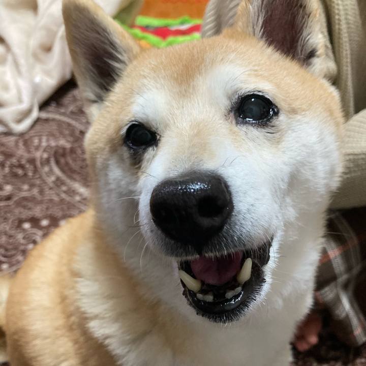 8b48ddfd fb4d 4712 904a a0166cec45d2 1615554718740