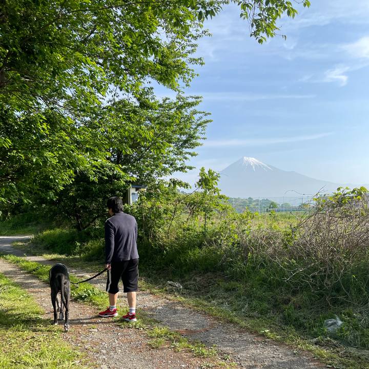 8b4944ab 275a 44a0 86ae c7d35ce6e045 1619241578870