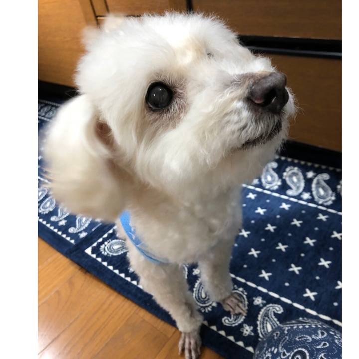 8b496aa0 34ad 4a0c 95f6 5f079c2f1eda 1560437284641