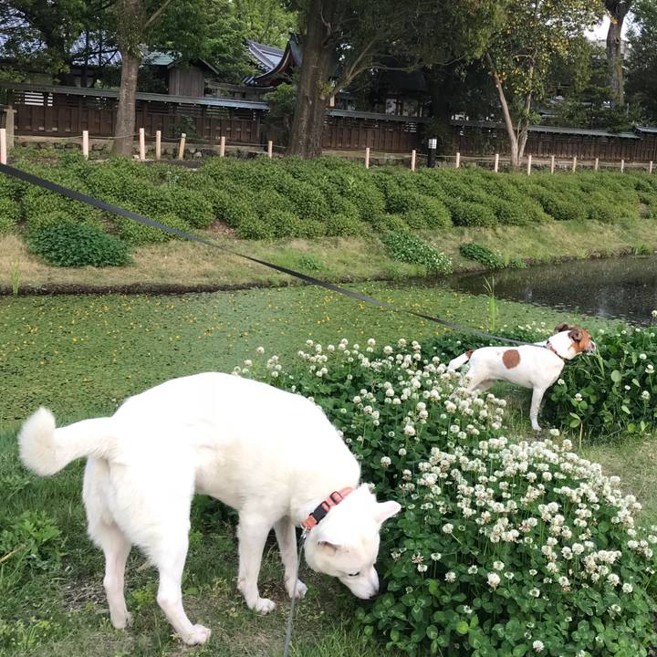 8b49738f 5b83 43bc bbdd ed6276a29c2e 1524833214980