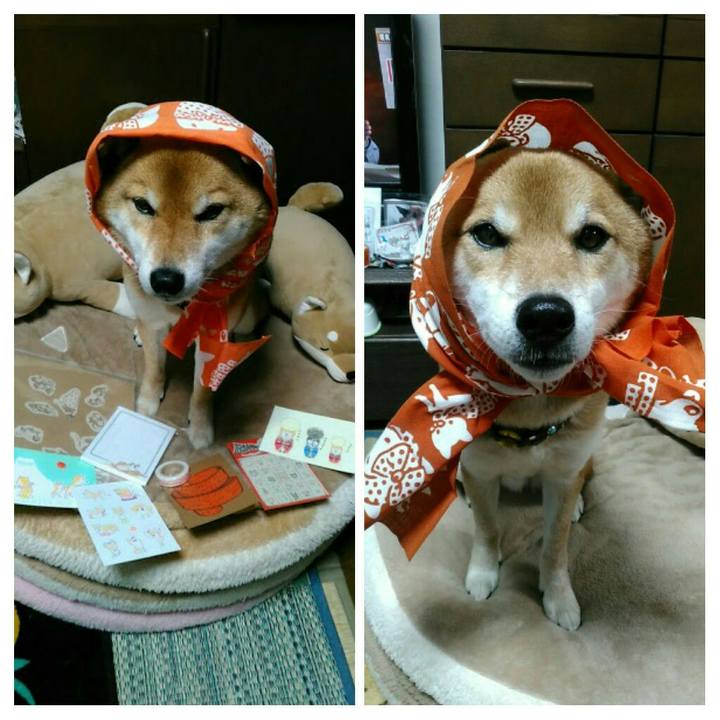 8b49a997 5c18 4c81 bc8e 9a6d3120dcce 1575201274648