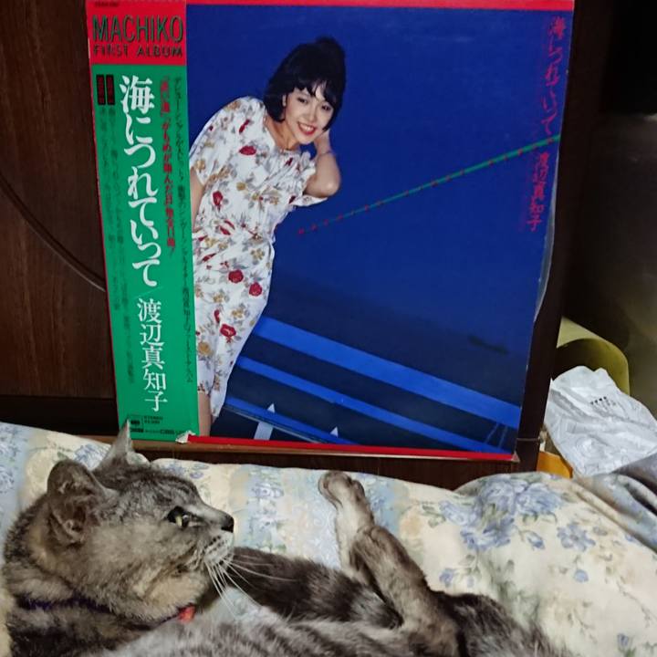 8b4a2e53 3318 4fd3 8a1f 60f68e12c612 1595073864020